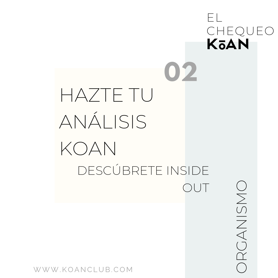 analisis koan