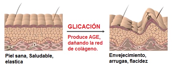 IMAGEN PERSONAL: COMO FRENAR EL PROCESO DE ENVEJECIMIENTO DE LA PIEL