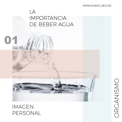 beneficios de beber agua