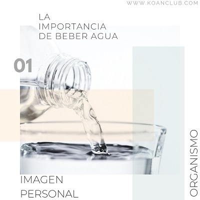 la importancia de beber agua