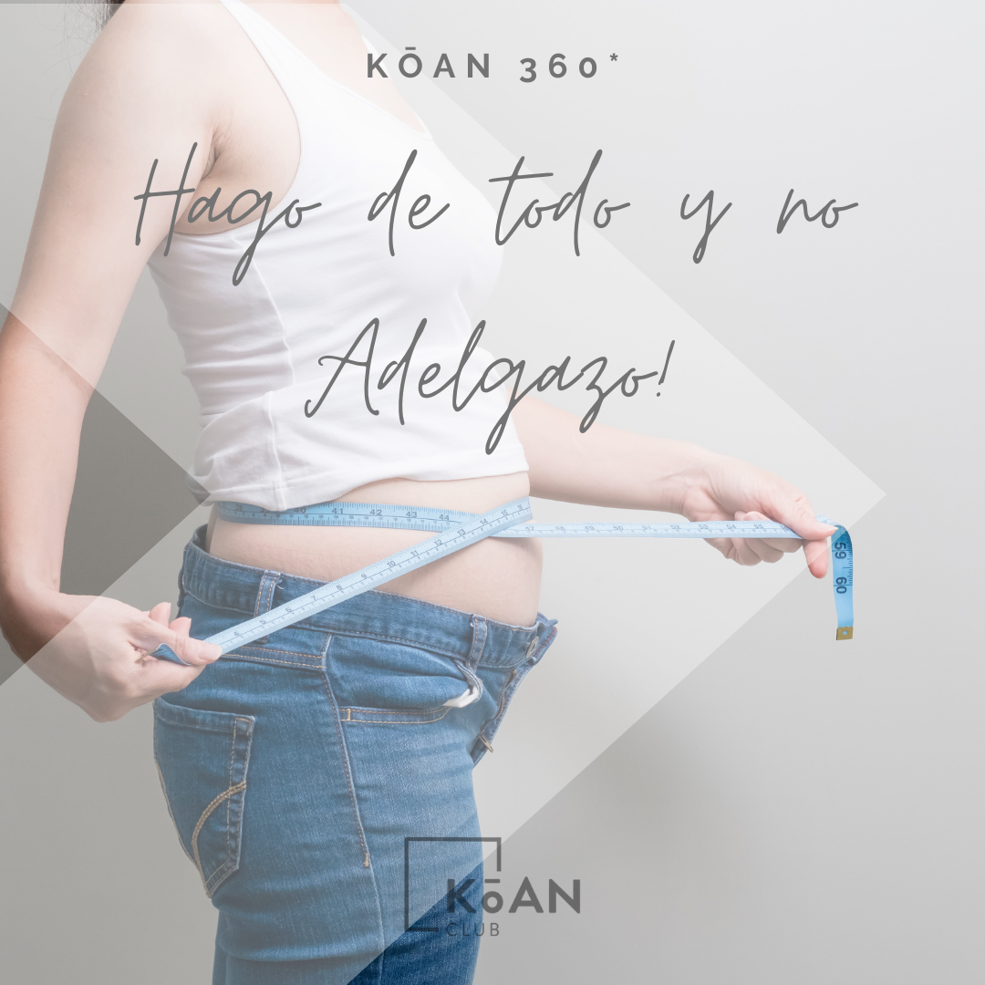 koan 360