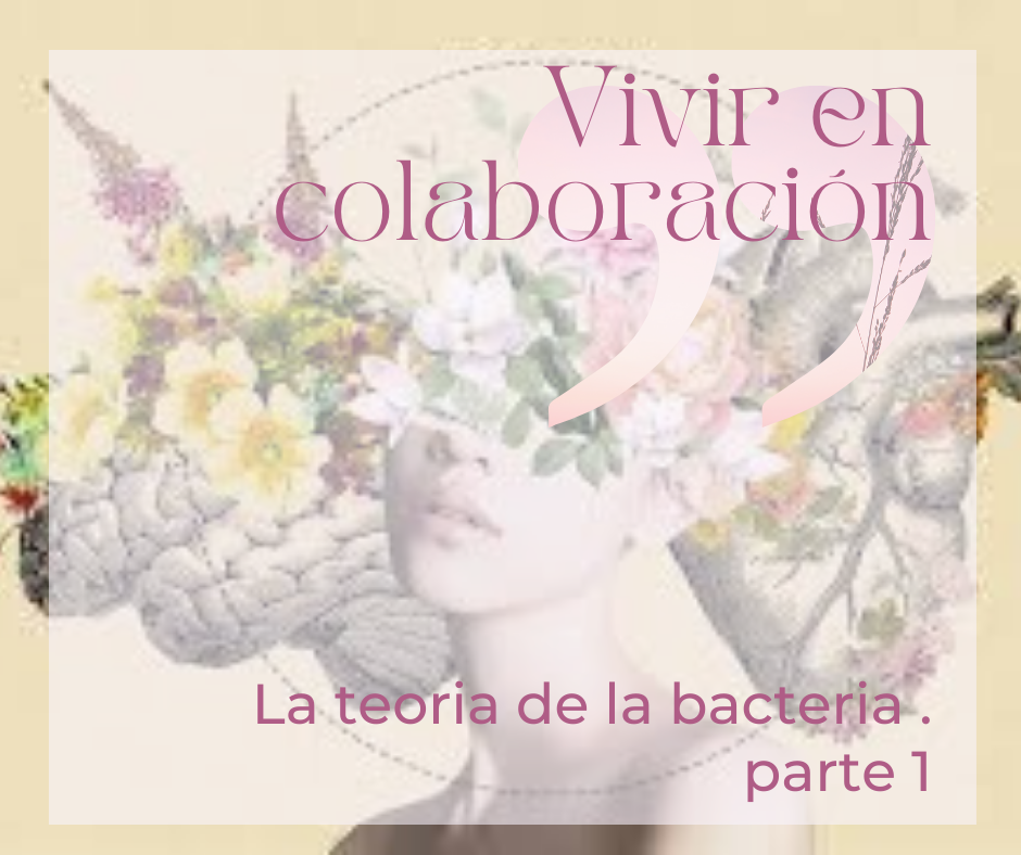 https://www.koanclub.com/el-poder-curativo-de-la-colaboracion-1a-parte-la-teoria-de-la-bacteria/