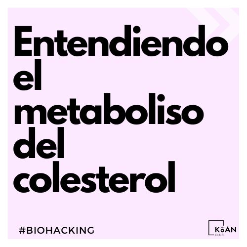 4 consejos para mejorar nuestro Colesterol y por lo tanto nuestra salud